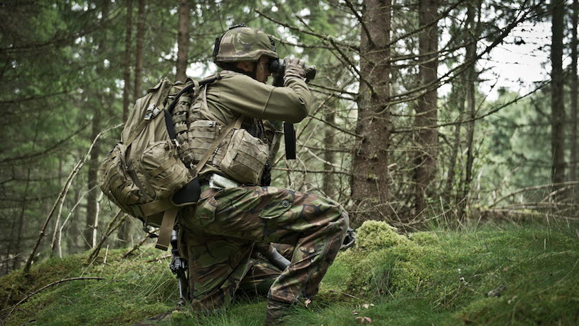 swedish army bison counter 2016 Alliances militaires | Analyses Défense | Aviation de chasse